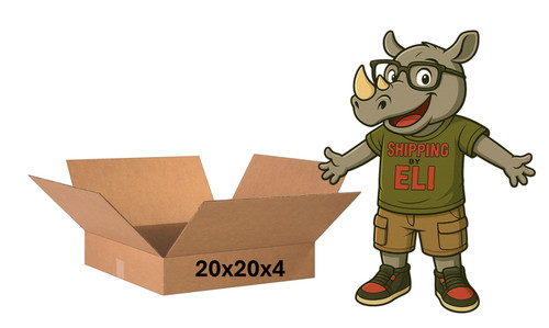 4 cardboard box - 20",